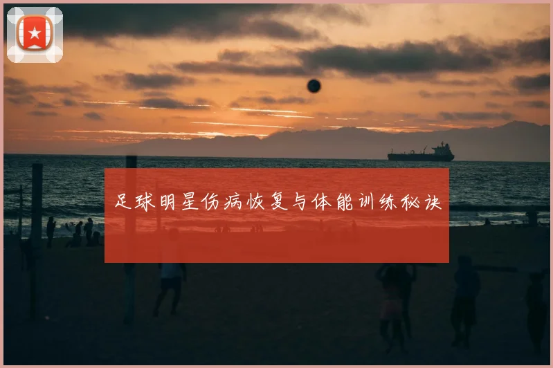 足球明星伤病恢复与体能训练秘诀