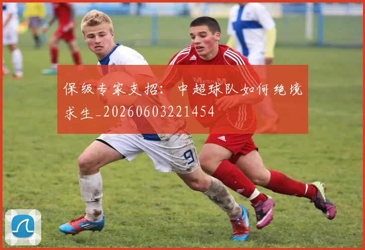 保级专家支招：中超球队如何绝境求生_20260603221454